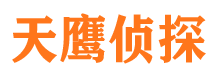 东宝寻人公司